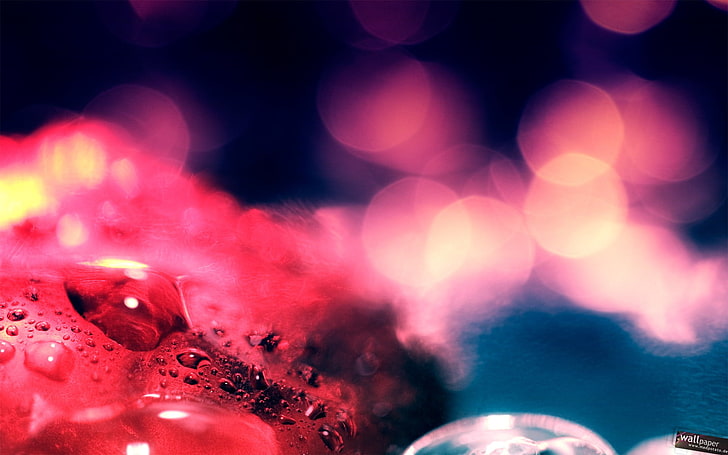 red water drop illustration, bokeh, water drops, lights, illuminated, HD wallpaper