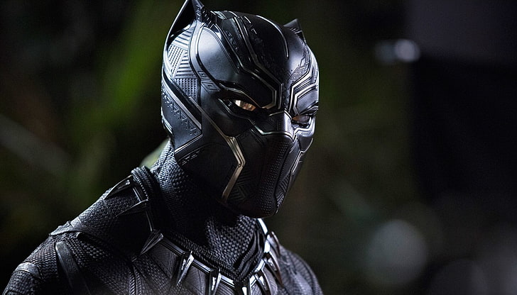 Marvel Black Panther wallpaper, Movie, protection, security, people