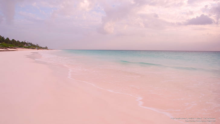 Pink Sands Beach, Harbour Island, The Bahamas, Beaches, HD wallpaper
