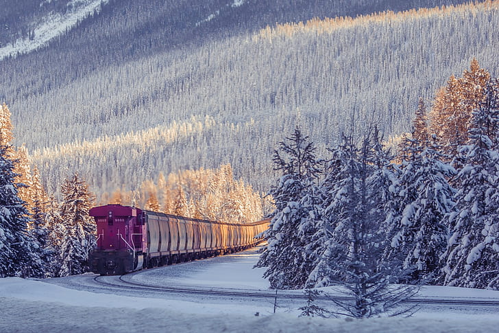 photography, nature, winter, train, HD wallpaper