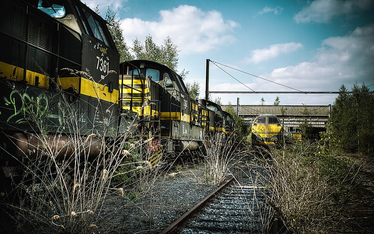 Abandoned train station, overgrown with weeds, HD wallpaper