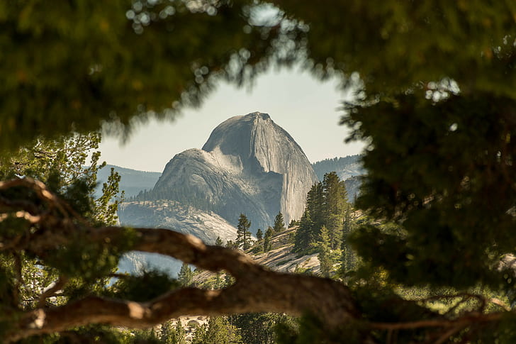 Half Dome, Yosemite National Park, California, USA, HD wallpaper