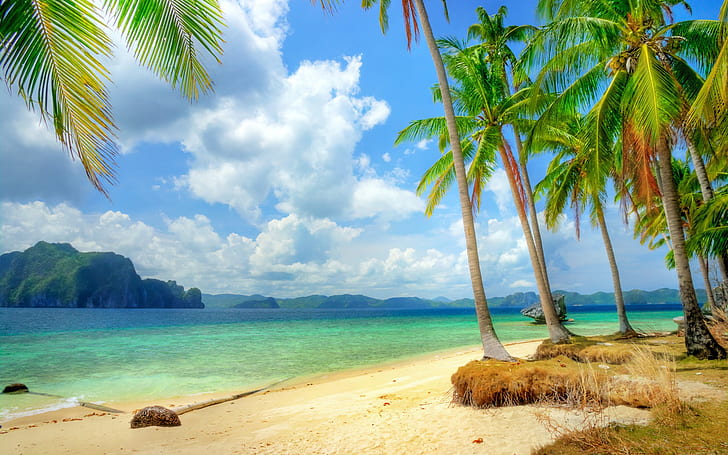 Tropical coast, beach, coast, sea, blue, palm trees, clouds, HD wallpaper