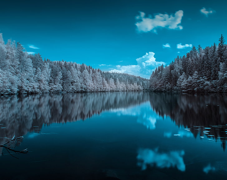 Finland Forest Lake, tree lot, Aero, Creative, Blue, Landscape, HD wallpaper