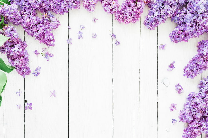 purple petaled flowers, background, spring, lilac, nature, wood - Material