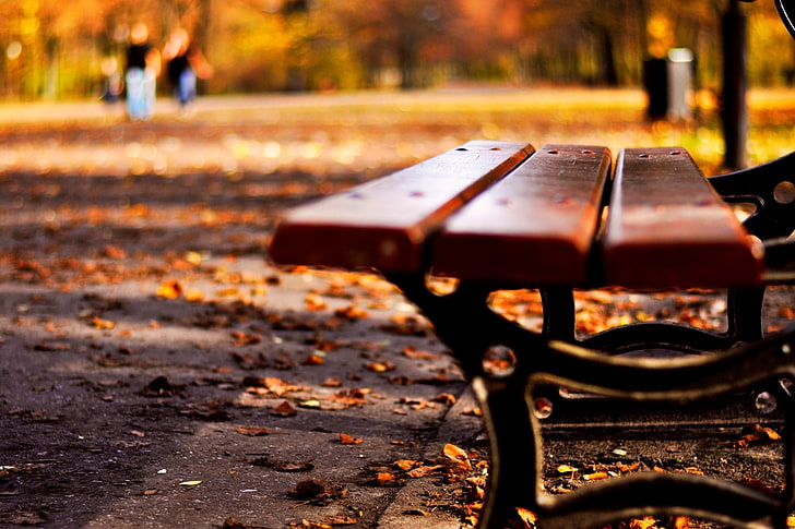 HD wallpaper: autumn, leaves, macro, bench, nature, background, widescreen  | Wallpaper Flare
