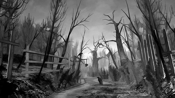 grayscale photo of bare trees, monochrome, digital art, forest