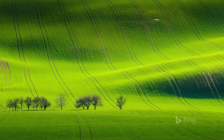 Czech Republic South Moravia-2017 Bing Desktop Wal.., green color