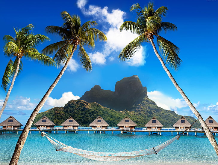 French Polynesia, palm trees, rest, booking, beach, Bora Bora, HD wallpaper