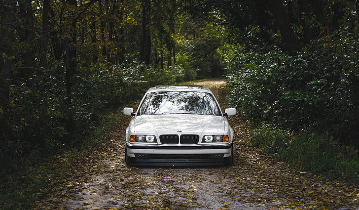 car, BMW, Boomer, 7 series, E38