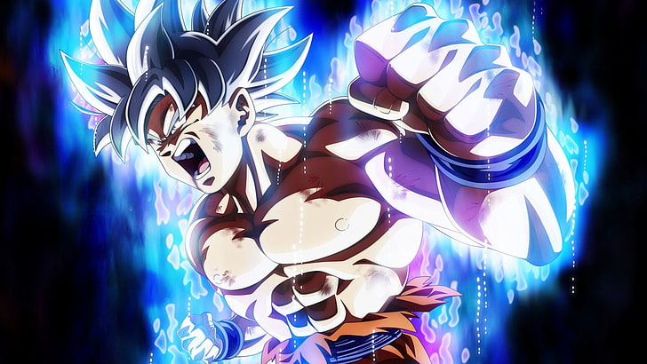 Dragon Ball, Dragon Ball Super, Goku, Ultra Instinct (Dragon Ball), HD wallpaper