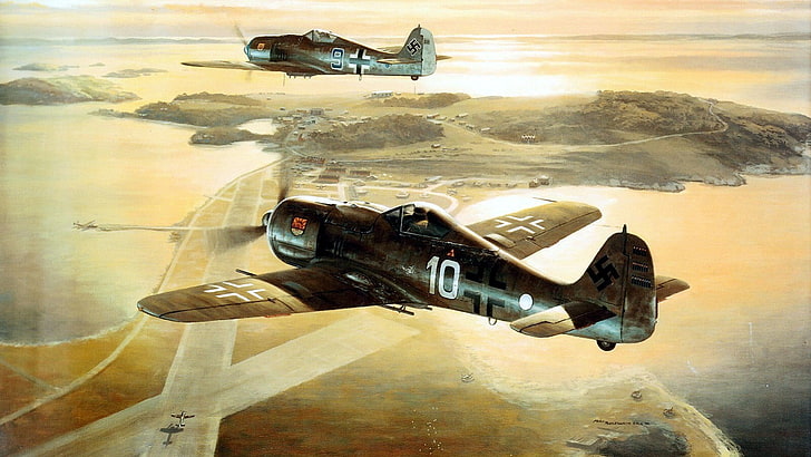 black and brown biplane wallpaper, World War II, fw 190, Focke-Wulf