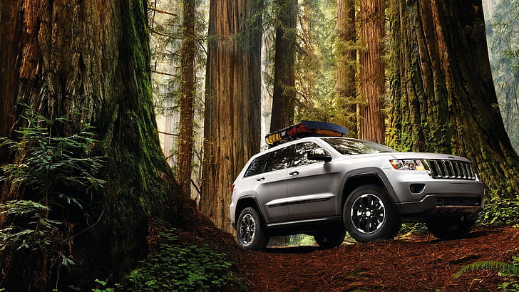 Jeep Grand Cherokee Redwood Forest Trees SUV HD, gray suv, cars
