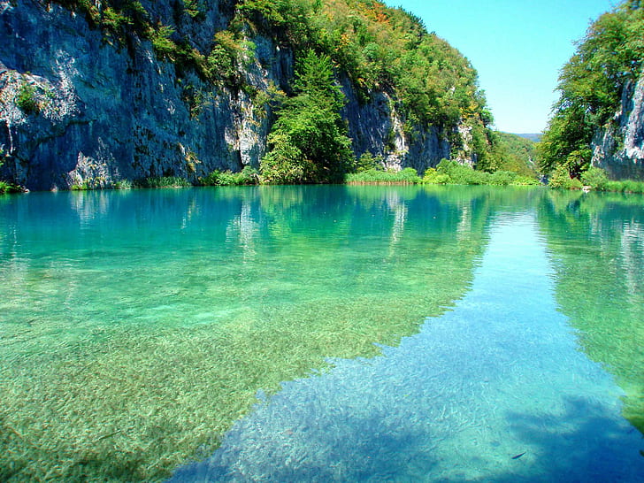 Plitvice lakes, Croatia, Park, Mountain, water, tree, plant