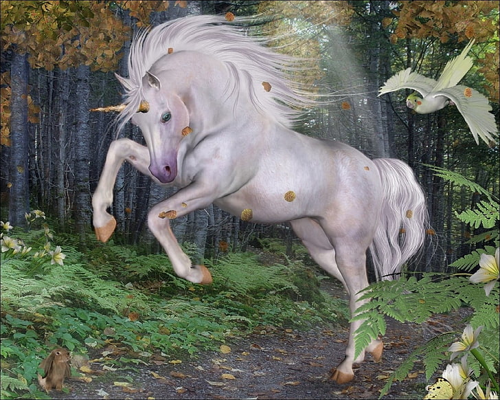 white unicorn painting, wood, stars, autumn, bird, animal, horse, HD wallpaper