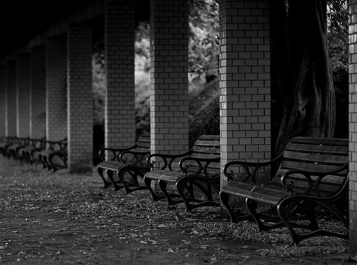 Fall Melancholy, slatted bench lot, Black and White, Autumn, Wood
