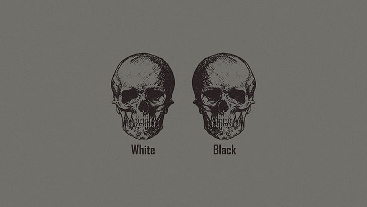 Racism, skull, monochrome, minimalism, logic, HD wallpaper