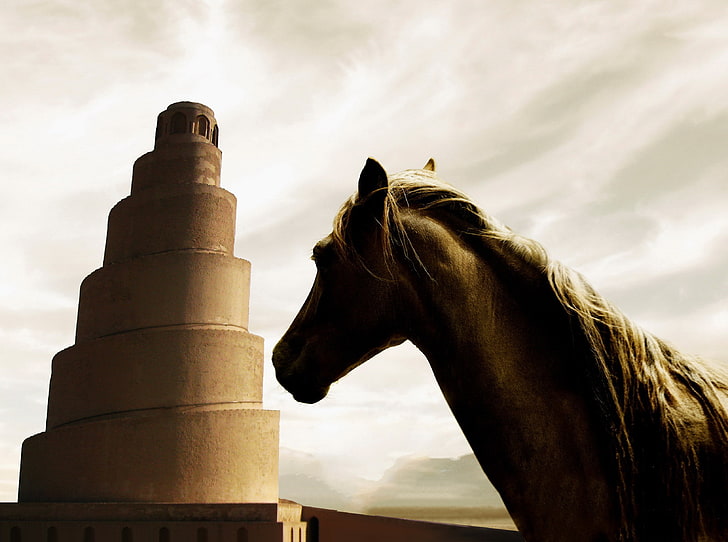 Arabic, horse, Iraq, Islamic Architecture, Samaraa, HD wallpaper