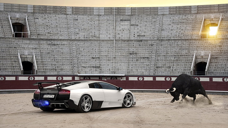 black bull and white Lamborghini coupe, car, bulls, mode of transportation, HD wallpaper