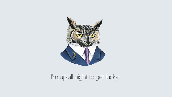 owl head wearing white shir and blue suit jacket, humor, drawing, HD wallpaper