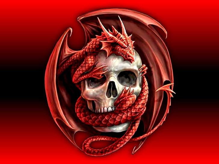 gray human skull wrap by red dragon digital wallpaper, Dark, Death