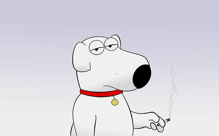 HD wallpaper: Family Guy Brian, sitcom, animated, funny, dog | Wallpaper  Flare