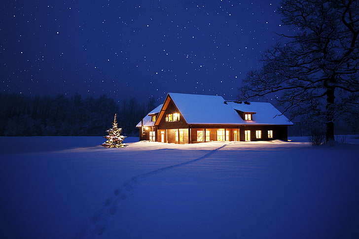 brown house illustration, lights, tree, New Year, Christmas, night