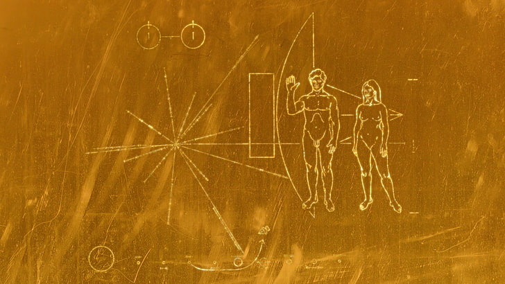 Voyager, Voyager Golden Record, artwork, men, women, NASA, space, HD wallpaper