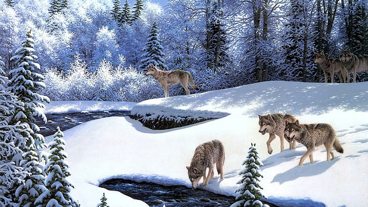 Winter Wolves, beauty, hills, lake, mountains, pack, outdoors, HD wallpaper
