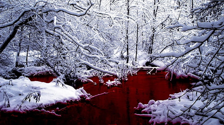 body of water, landscape, winter, snow, tree, cold temperature, HD wallpaper