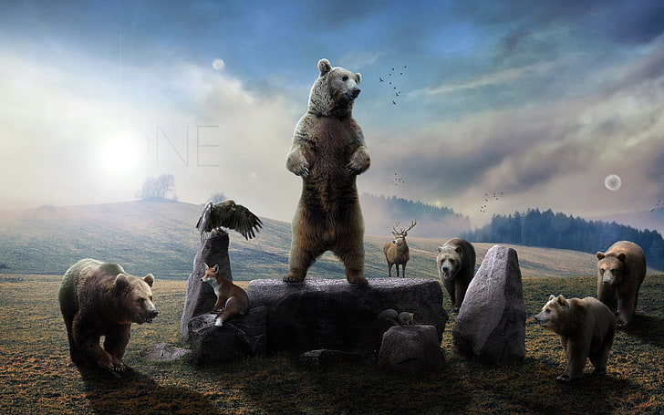 photography of bear standing on gray stone, animals, bears, digital art