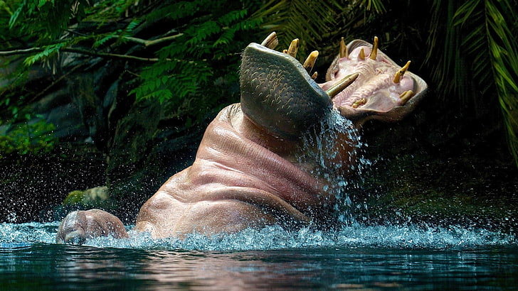 brown hippopotamus, hippos, animals, open mouth, water, animals in the wild, HD wallpaper