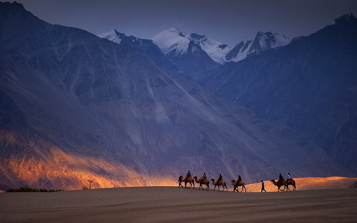 march of camels wallpaper, nature, landscape, sky, rock, mountains, HD wallpaper