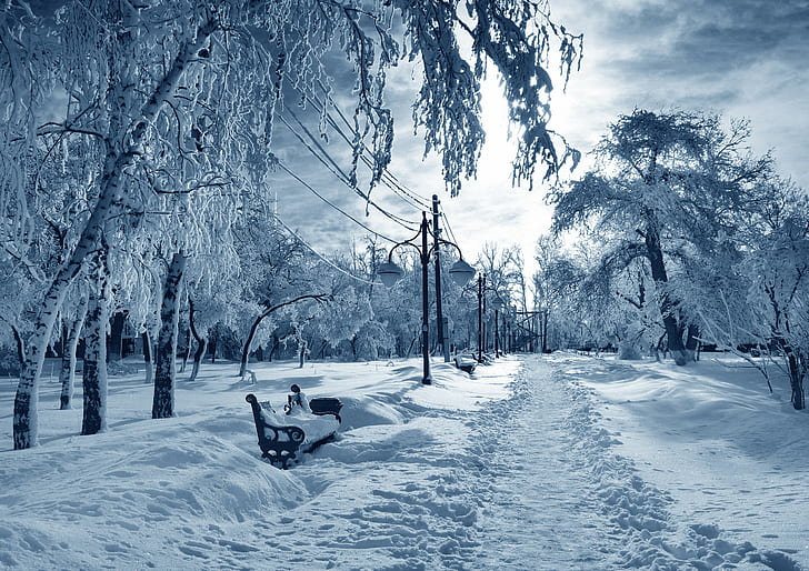 HD wallpaper: winter, white, blue, snow, seasons | Wallpaper Flare