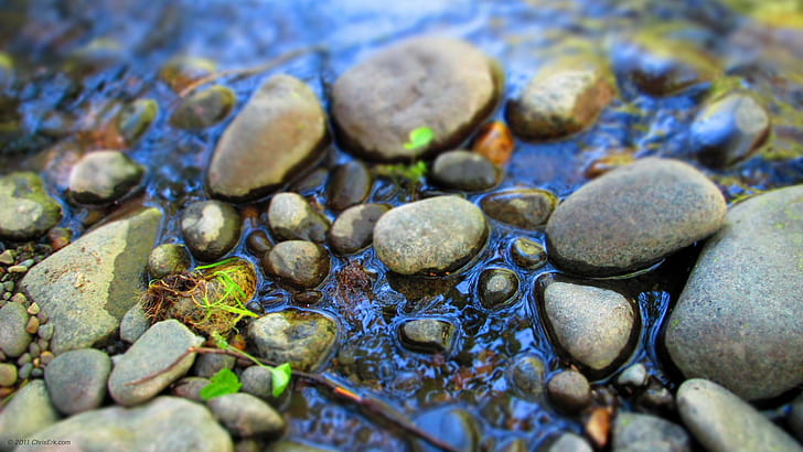 pond, rocks, nature, macro, water, stones, blue, gray