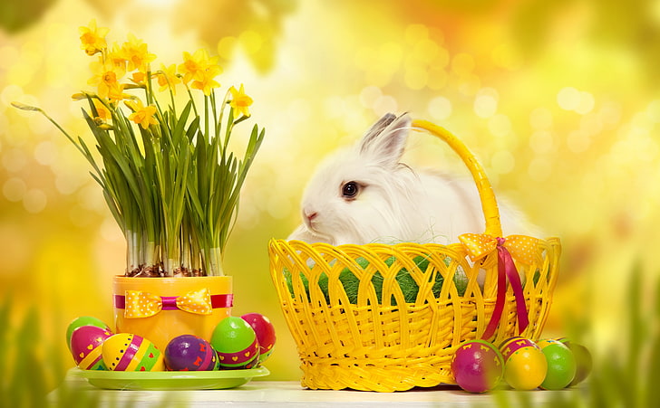 Happy Easter Bunny, white rabbit, Holidays, Spring, Flowers, happiness