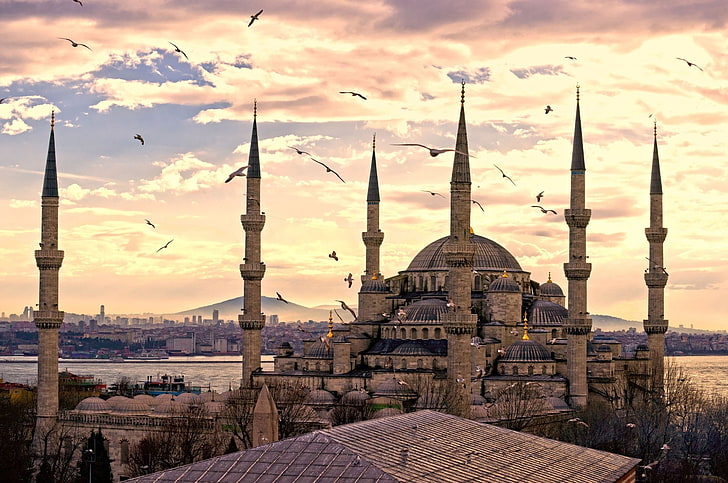 Mosques, Sultan Ahmed Mosque, Flight, Istanbul, Seagull, Turkey, HD wallpaper