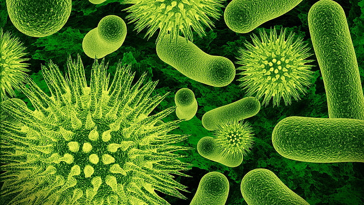 microscopic photo of bacteria, nature, closeup, viruses, science