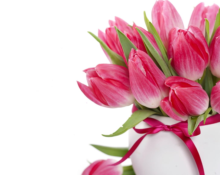 pink tulip flowers, tulips, bouquet, vase, bow, flower buds, nature