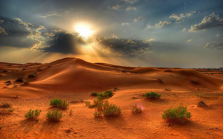 Desert Landscape Summer Sunset In The Desert Red Sand Beautiful Pictures 1920×1200, HD wallpaper