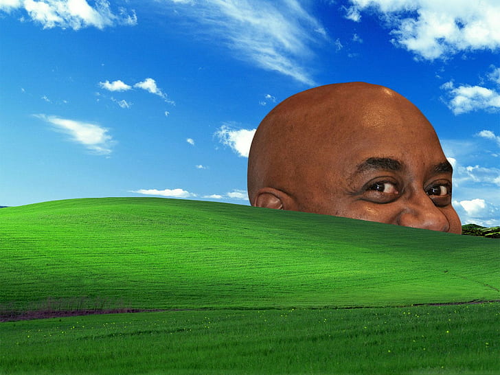 grass, nature, sky, black guy, Ainsley Harriott, bliss, humor, HD wallpaper
