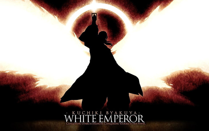 White Emperor DVD case, Bleach, sword, Kuchiki Byakuya, bankai, HD wallpaper