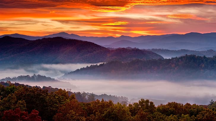 nature, landscape, mountains, trees, mist, clouds, Smoky Mountains, HD wallpaper