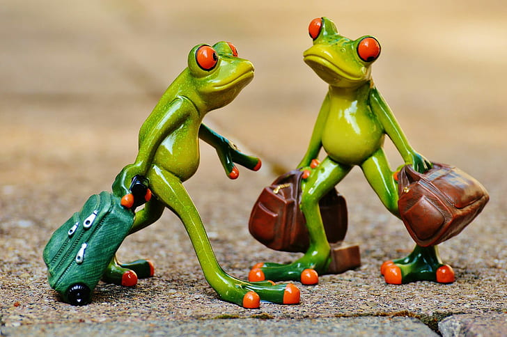 animal, cute, fig, frog, frogs, fun, funny, go away, holdall, HD wallpaper