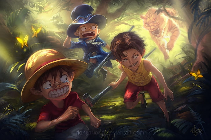 One Piece, Portgas D. Ace, Monkey D. Luffy, Sabo , childhood, HD wallpaper