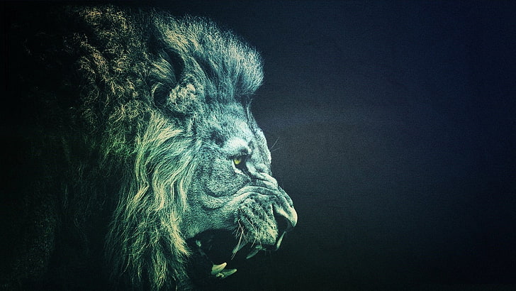 lion illustration, animals, simple, photo manipulation, mammal, HD wallpaper