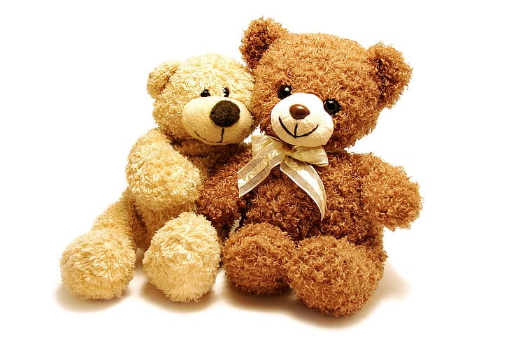 two brown bear plush toys, pair, cute, Teddy, teddy Bear, white Background
