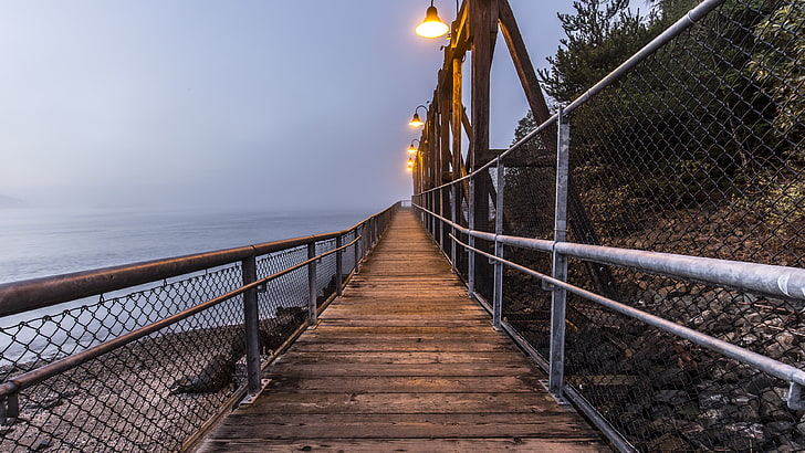 brown wooden bridge, pier, railing, the way forward, direction