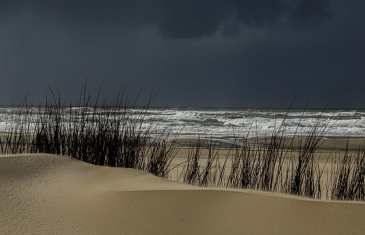 beach during storm, Dune, Texel, Zand, Water, Zee, Sand  Beach, HD wallpaper