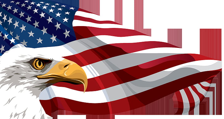 64 American Flag With Eagle